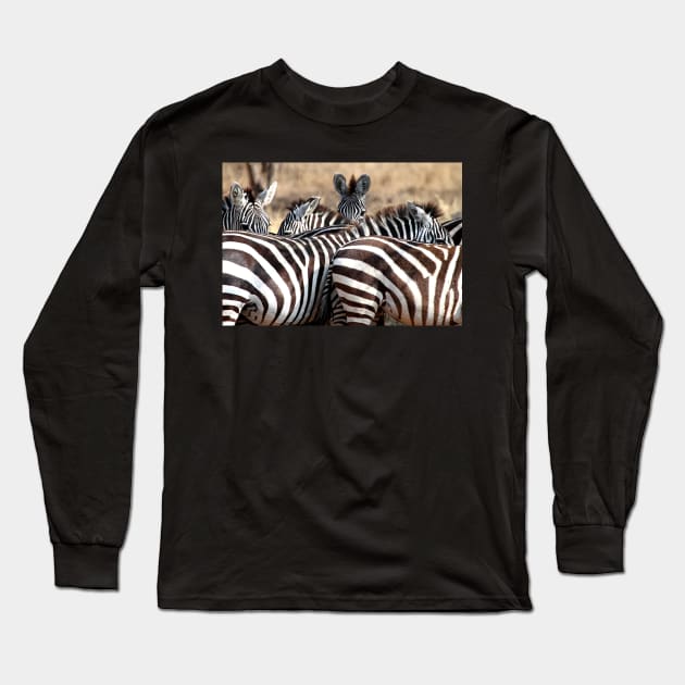Plains Zebra,  Serengeti National Park, Tanzania. Long Sleeve T-Shirt by Carole-Anne